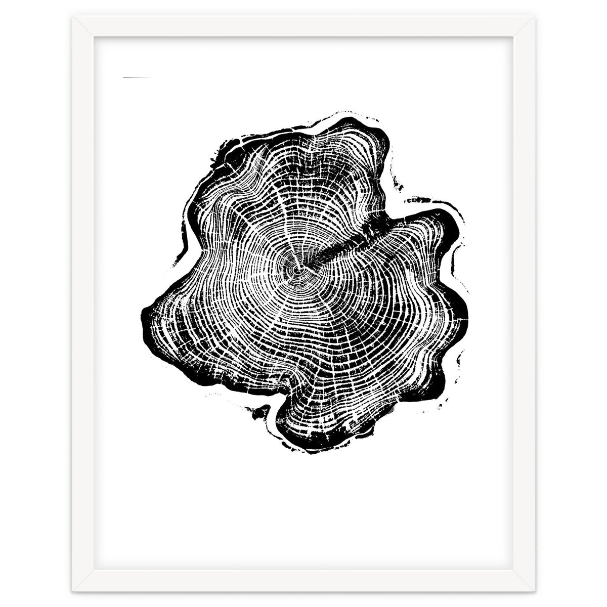 Alaskan Cypress, Tree Ring Art Print, Woodblock