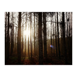 D3 A0 Cf3 E 6509 400 C 926 D 905230 D93 F61 (Print Only) thumbnail