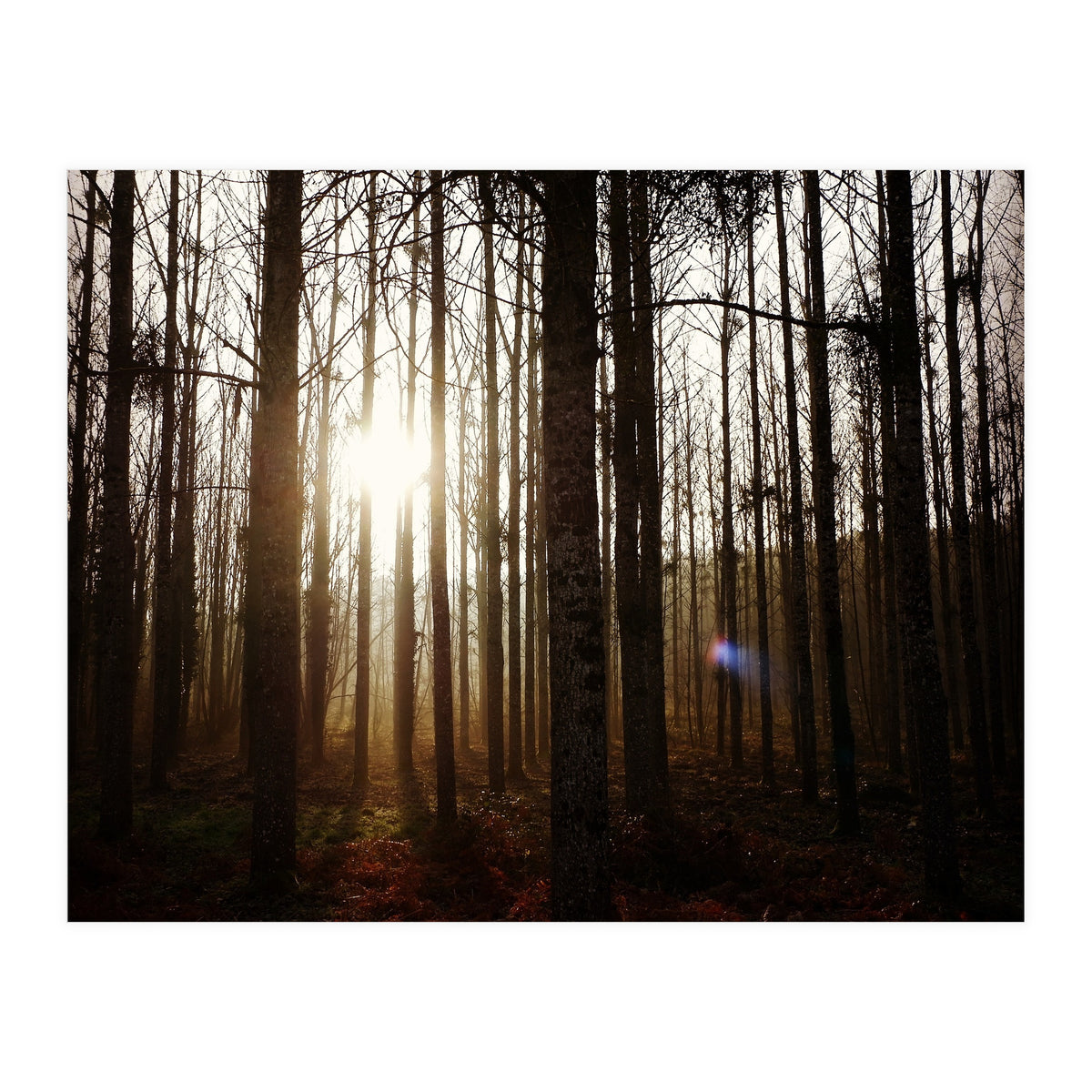 D3 A0 Cf3 E 6509 400 C 926 D 905230 D93 F61 (Print Only)