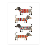 Sausage Dogs In Sweaters (Print Only) thumbnail