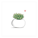 Succulent in Small White Planter (Print Only) thumbnail