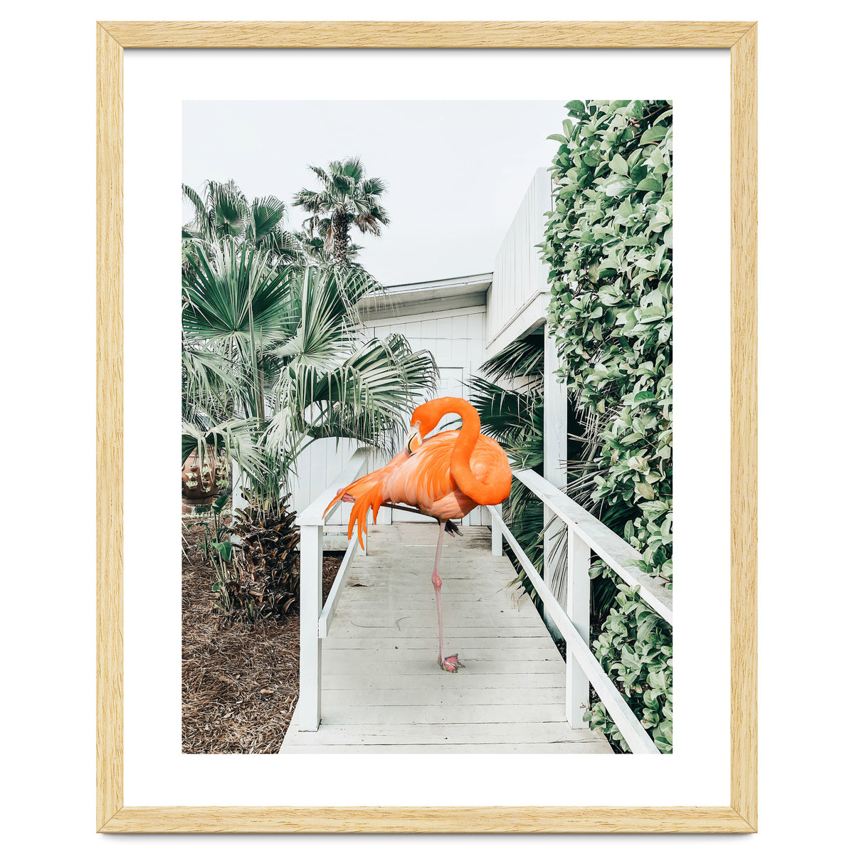 Flamingo Beach House