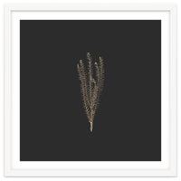 Delicate Fynbos Botanicals in Gold and Black - Square