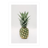 Pineapple (Print Only) thumbnail