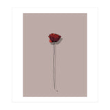 Poppy (Print Only) thumbnail