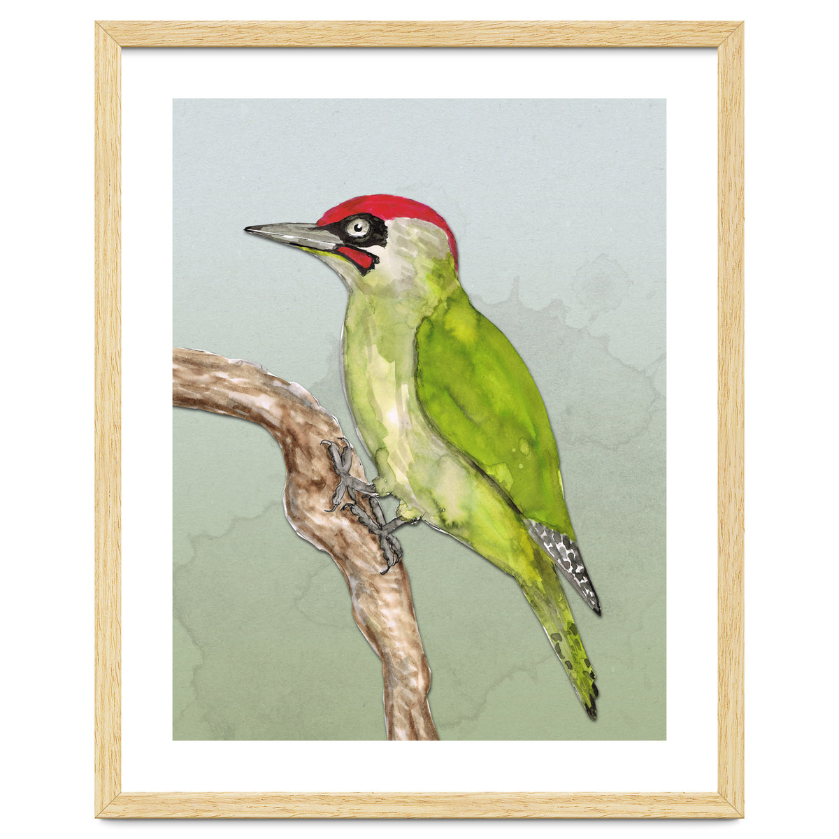 Green woodpecker