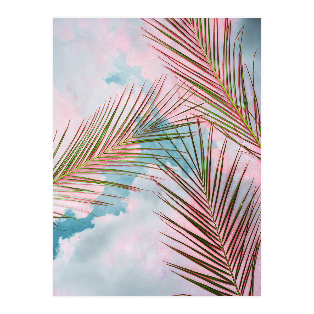 Palms + Sky (Print Only)