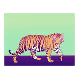 Tiger Under The Sun (Print Only) thumbnail