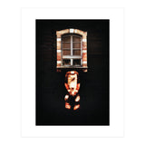 VooDooTooL - Desvodat (Print Only) thumbnail