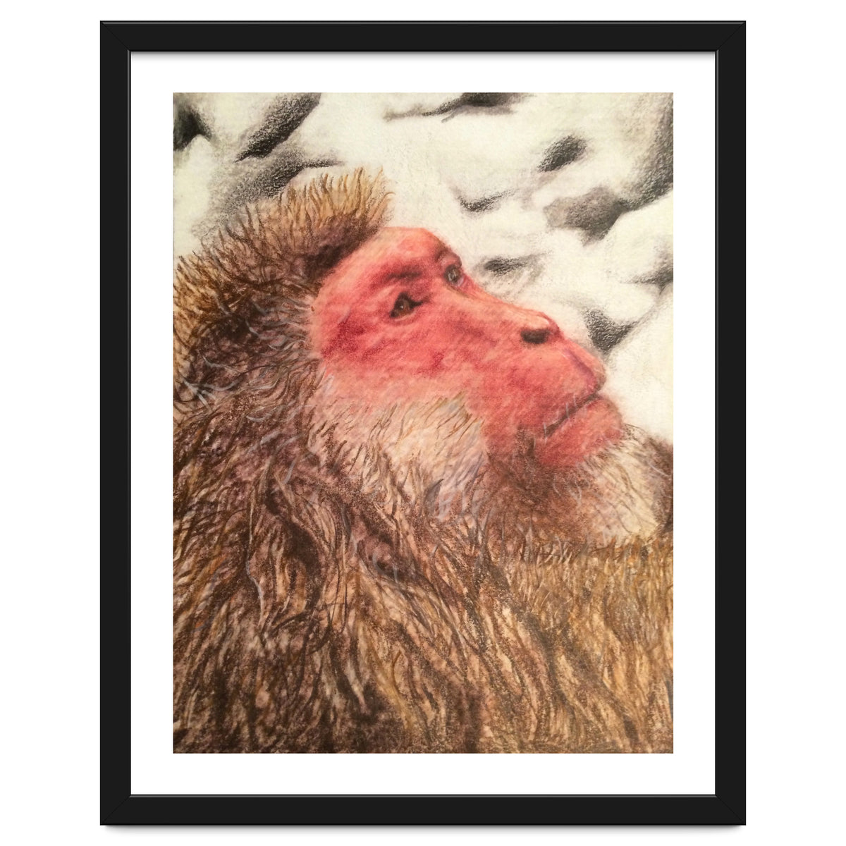 Japanese Macaque At The Onsen