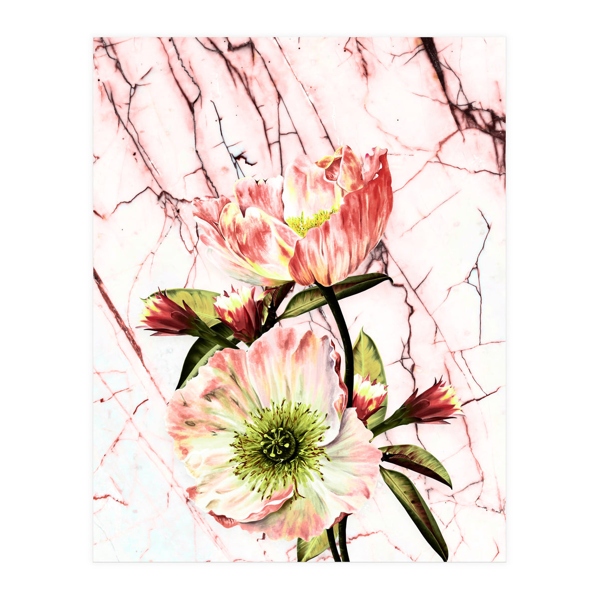 Flowering on pink marble (Print Only)