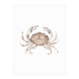 Crab (Print Only) thumbnail