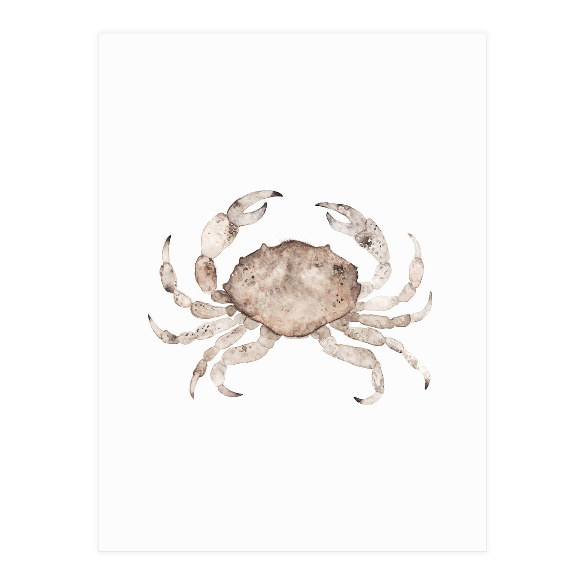Crab (Print Only)