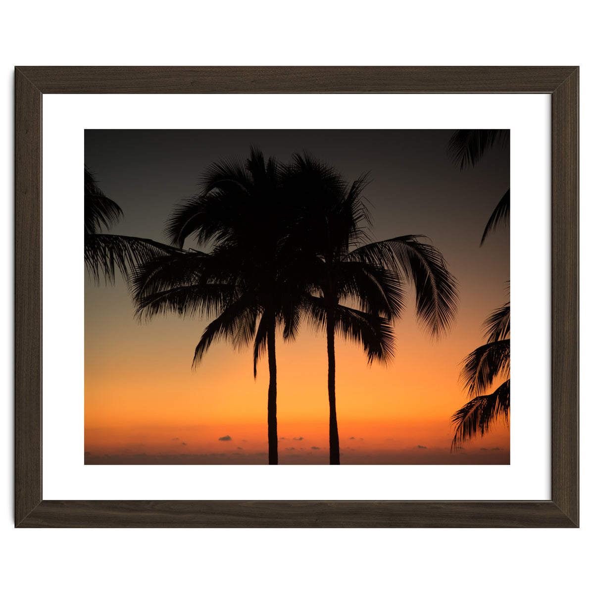 Mexico, November nights