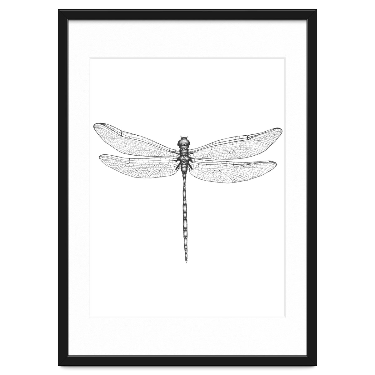 Dragonfly Wings