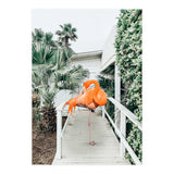 Flamingo Beach House (Print Only) thumbnail
