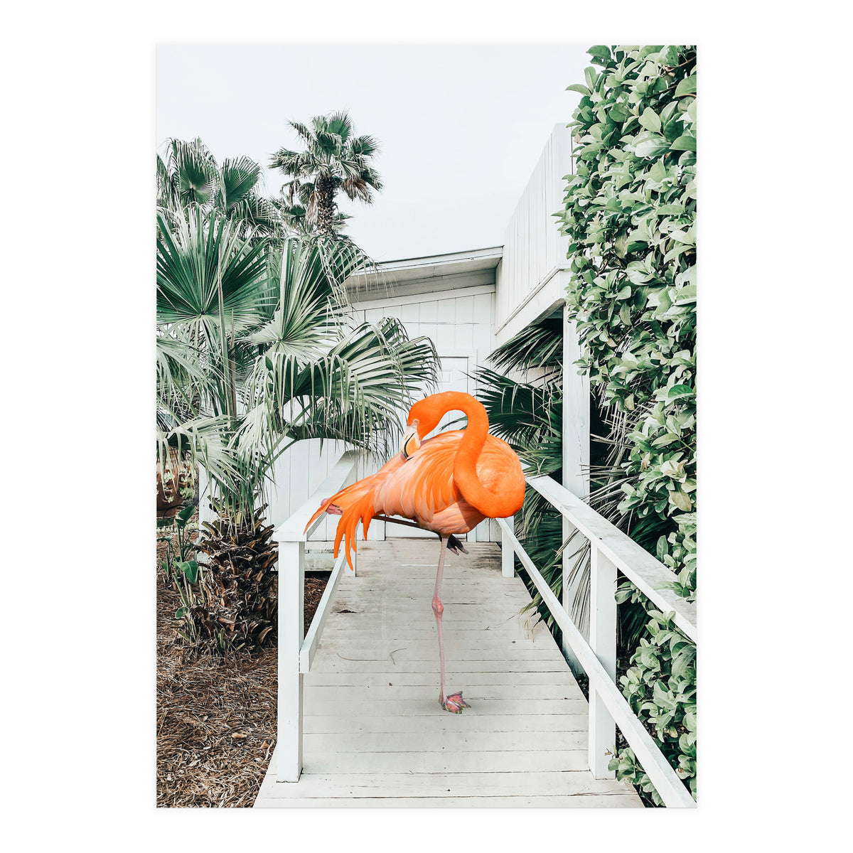 Flamingo Beach House (Print Only)