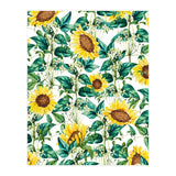 Sunflower Valley (Print Only) thumbnail