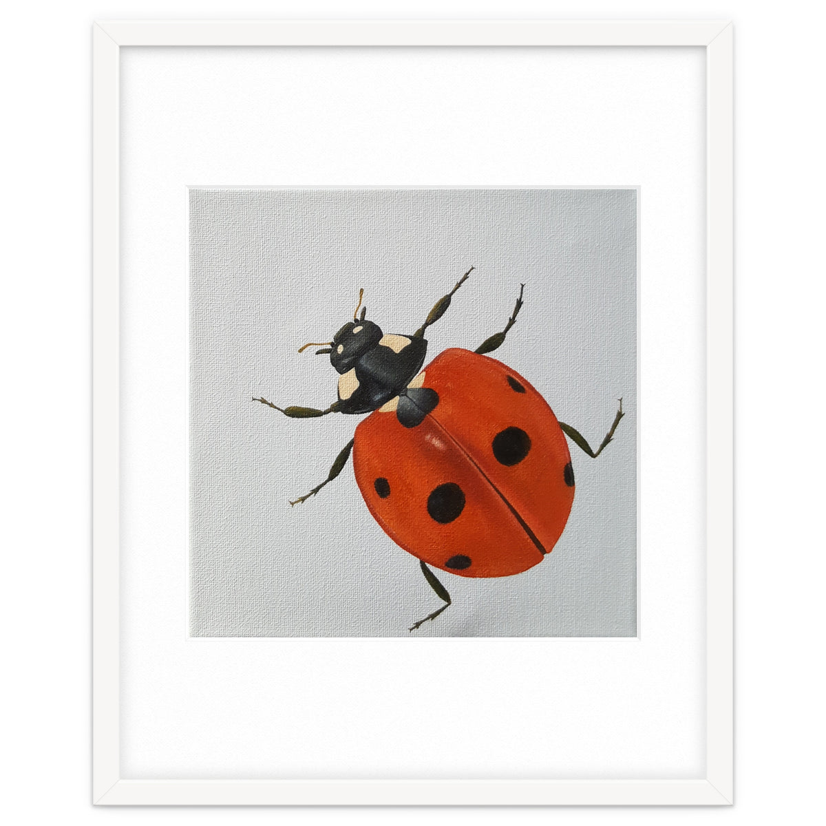 Ladybird
