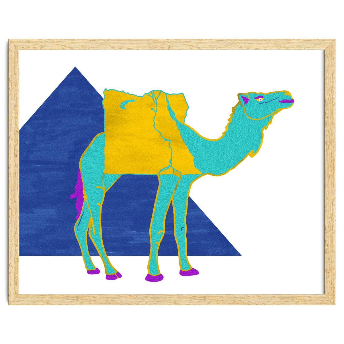 Egyptian Dromedary