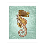 Hippocampus Camerarum (Print Only) thumbnail