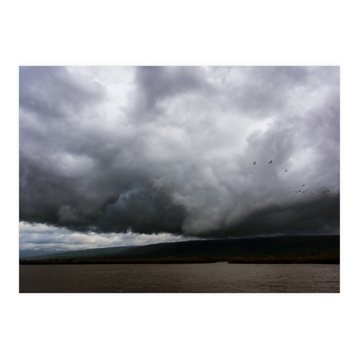 The Hula Valley #1 (Print Only)