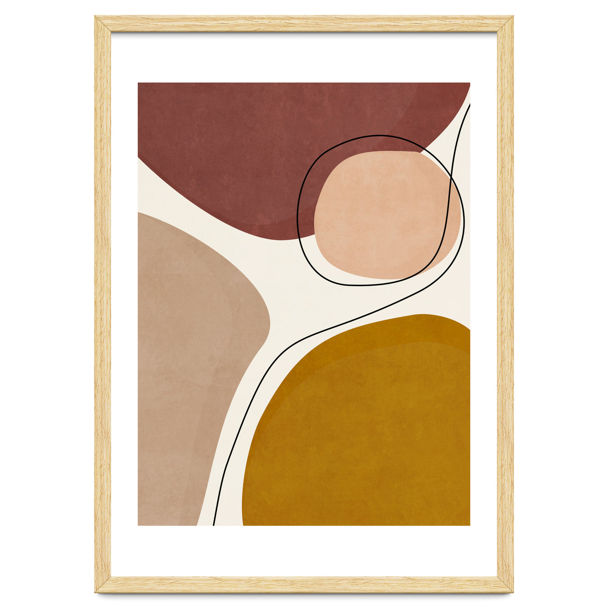 ORGANIC SHAPES - 01YR