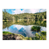 Calm (Print Only) thumbnail