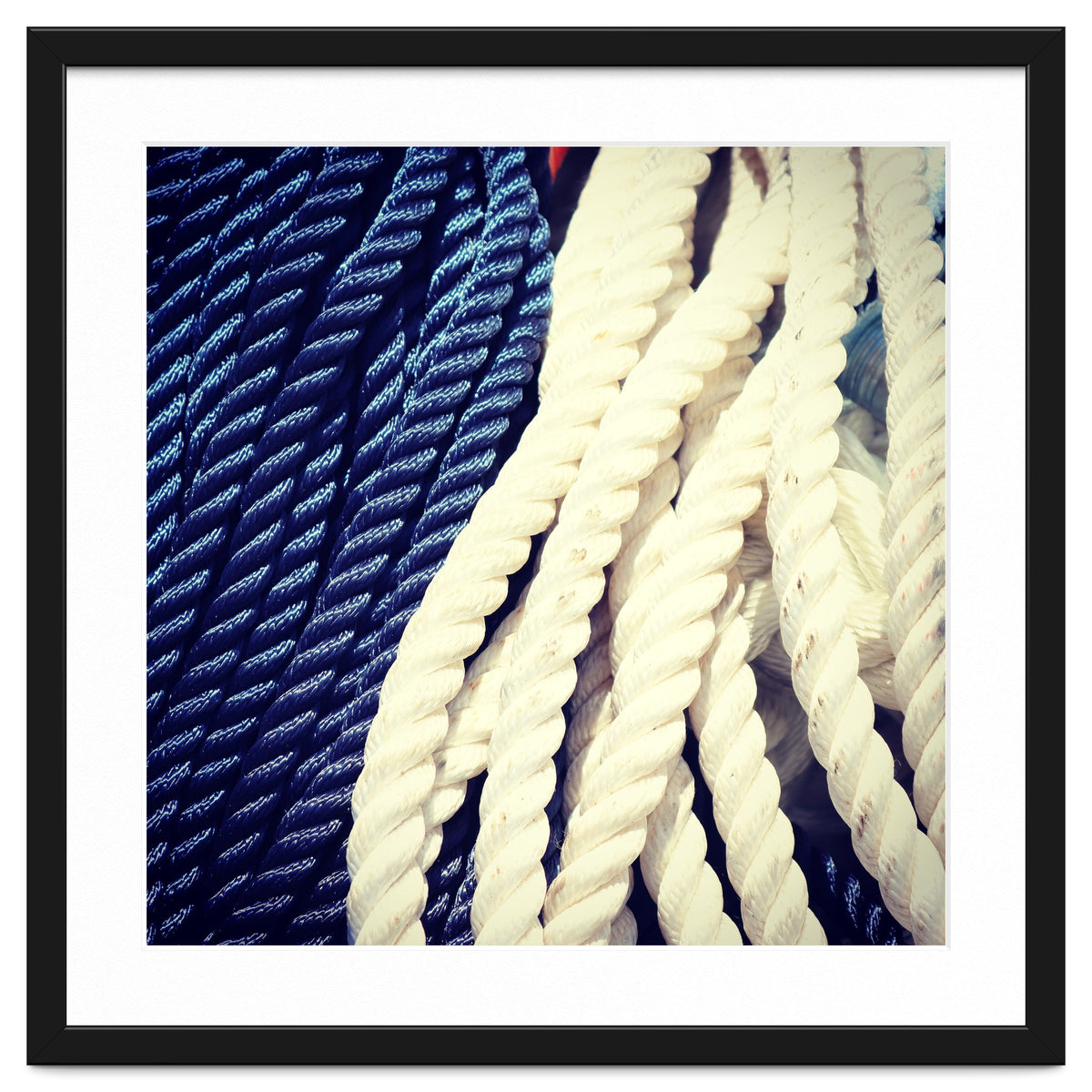 Blue and white fishing rope
