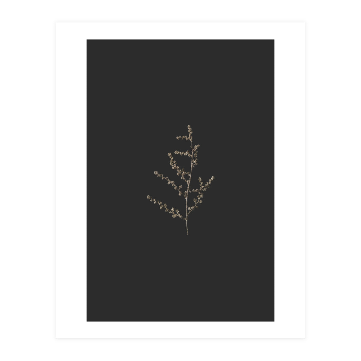 Dainty Botanicals in Gold and Black (Print Only)