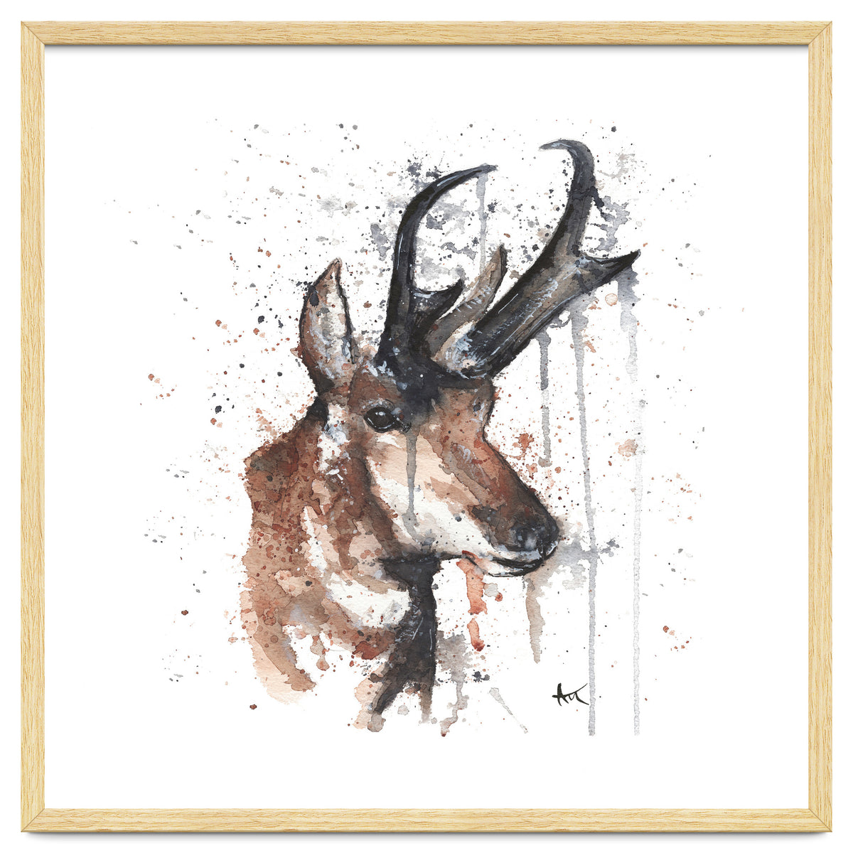 Red deer - Wildlife Collection