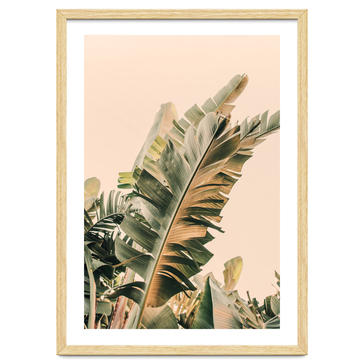 Growing Green Alicia Bock