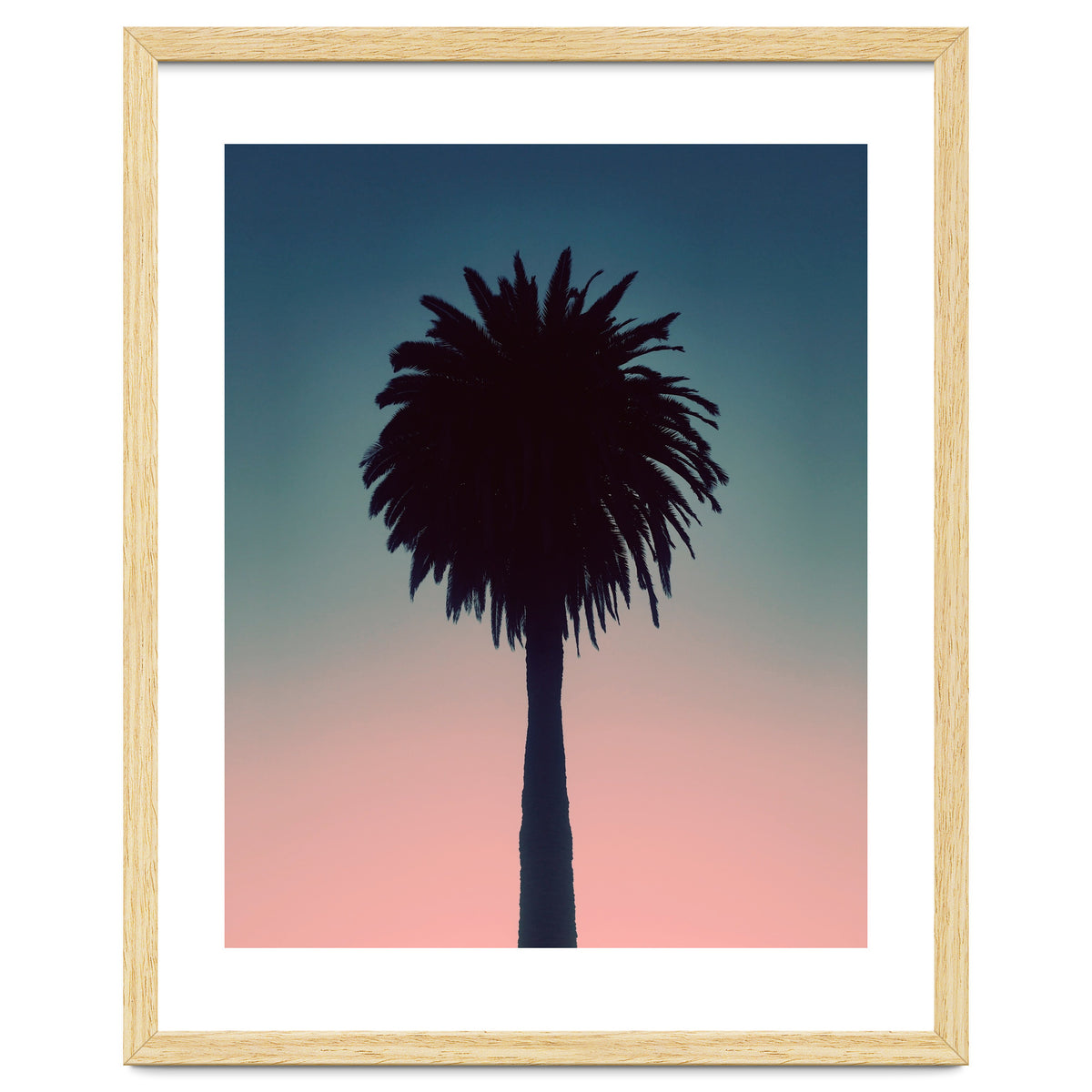 Sundown Palm