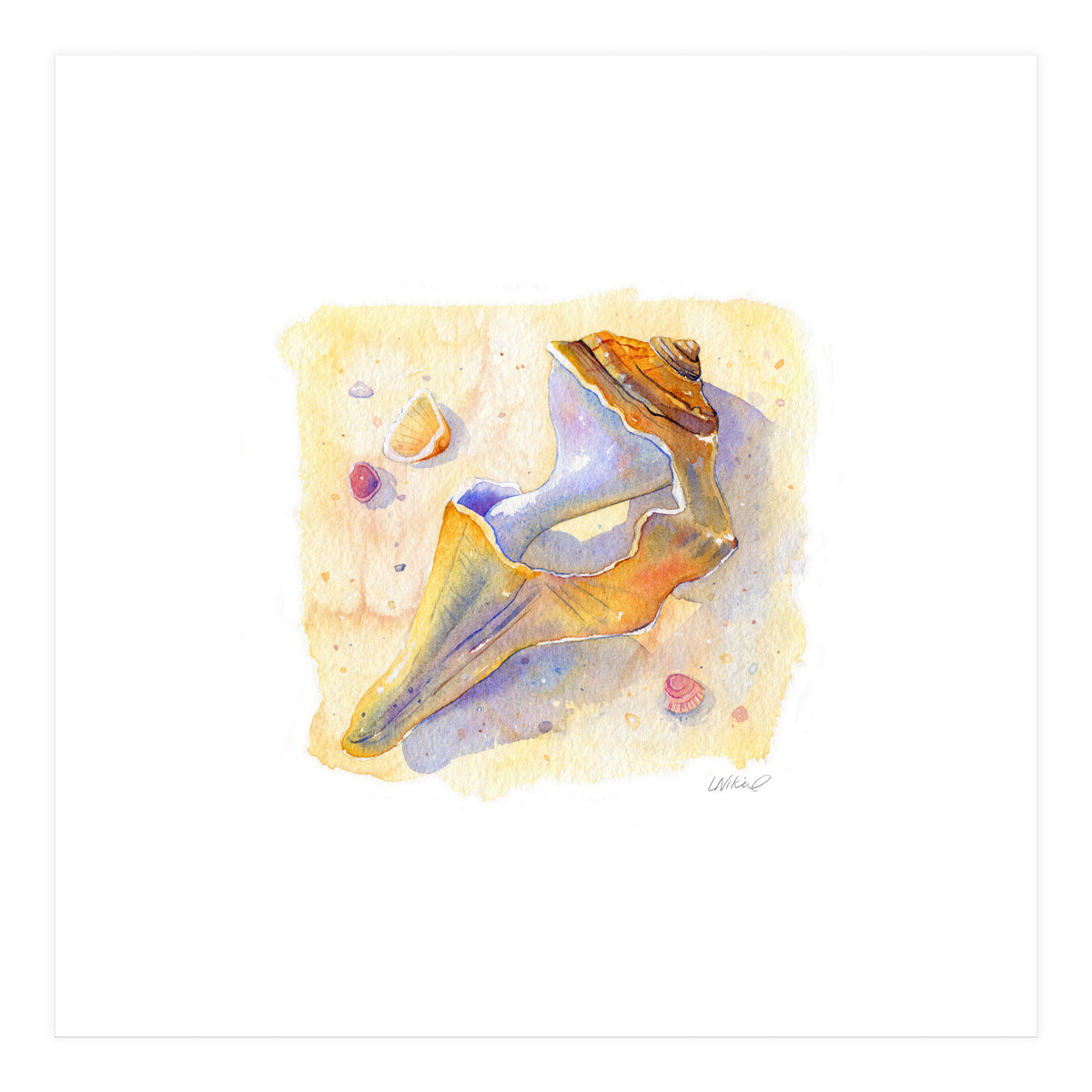 Old Shell (Print Only)