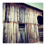8 D13 Daf8 F8 F5 4621 A326 Cf1 B8 E3 C8084 (Print Only) thumbnail