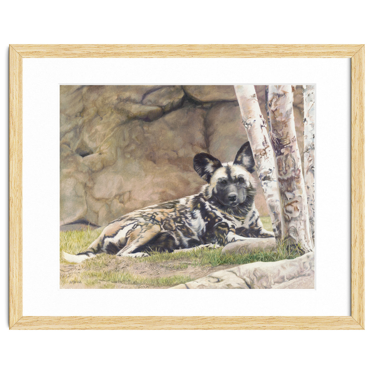 Afican Painted Dog IV - Imara