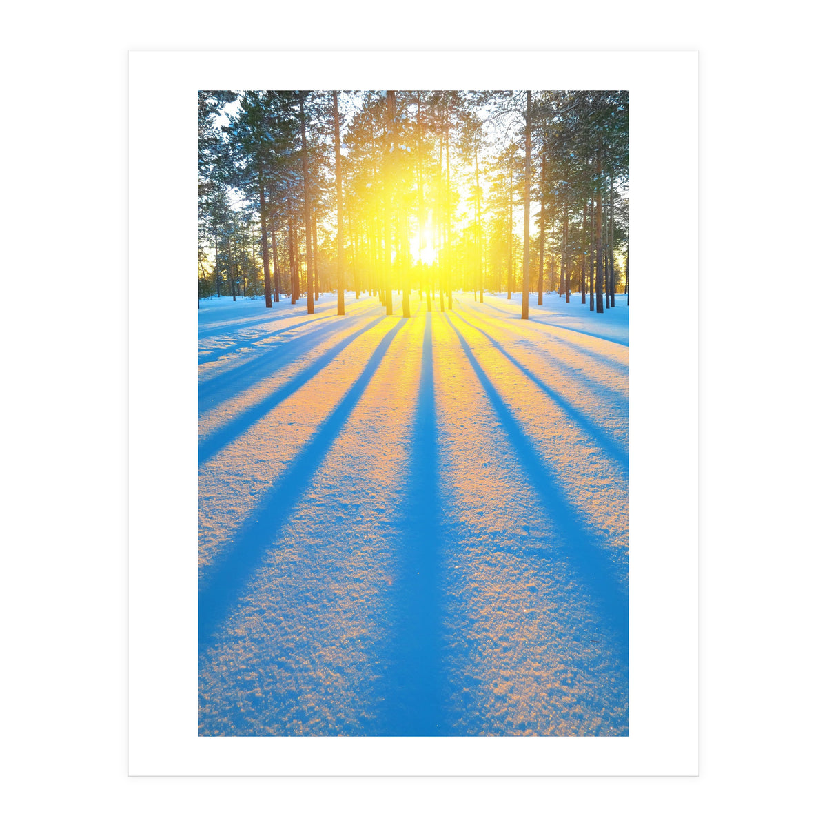 Nature (Print Only)