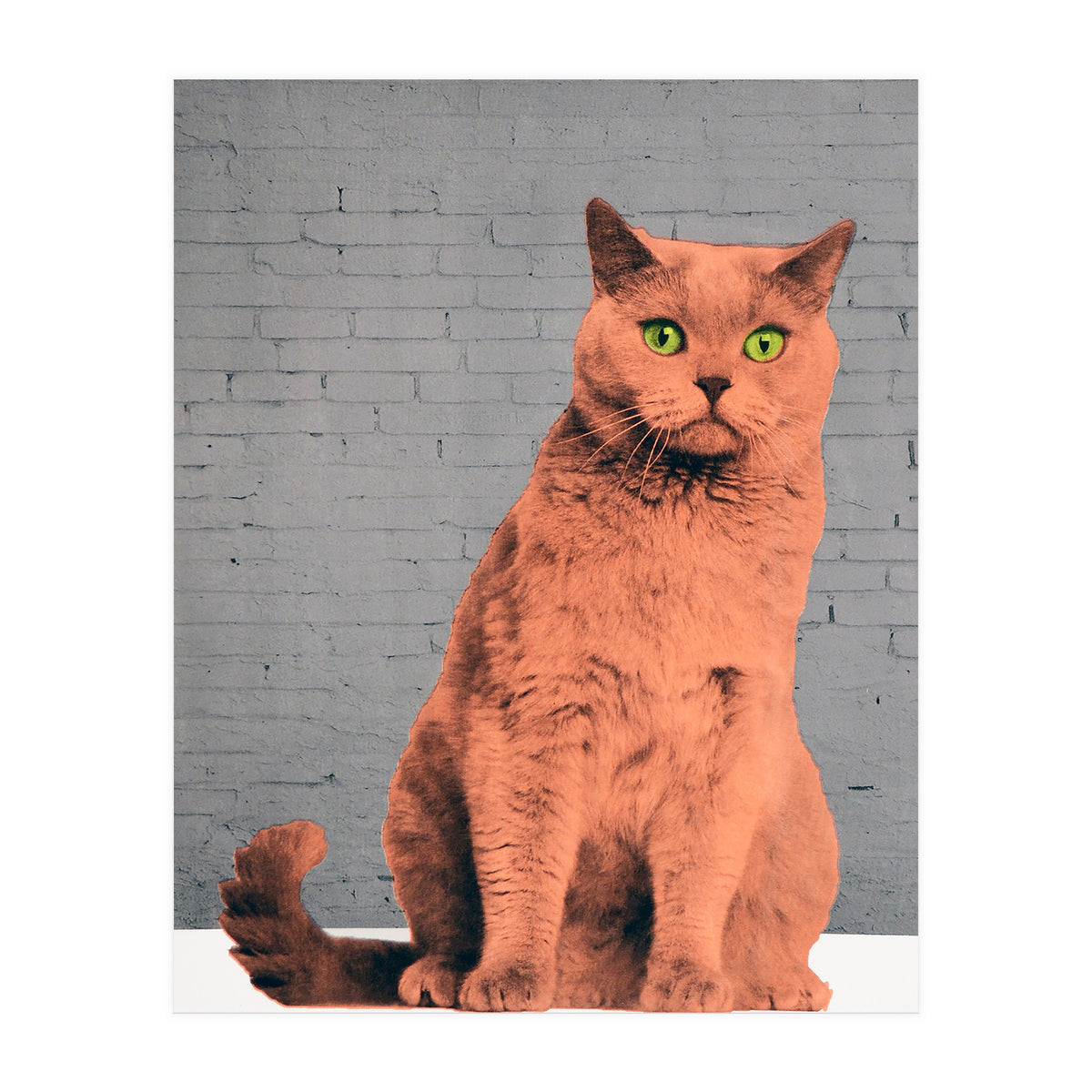 Everybody Wants To Be A Cat  (Print Only)