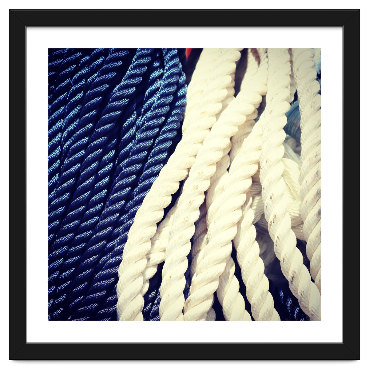Blue and white fishing rope