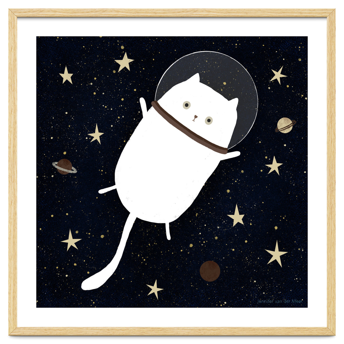 Cat 32: Cats in space!