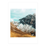 Carter (Print Only) thumbnail