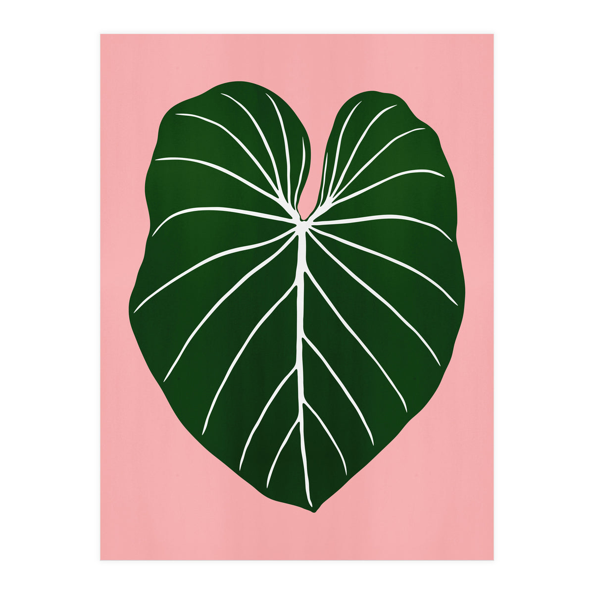 Leaf 05 (Print Only)
