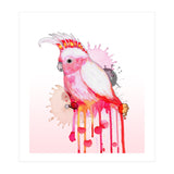 Major Mitchell's cockatoo (Print Only) thumbnail