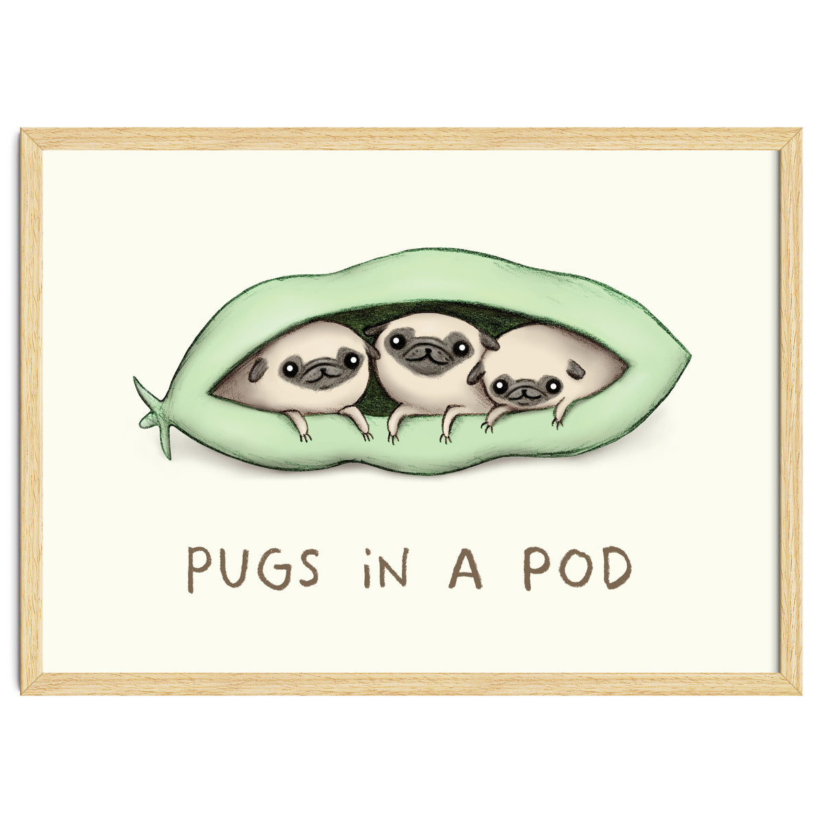 Pugs In A Pod