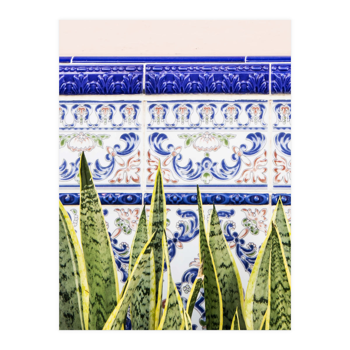 Moroccan Botany (Print Only)