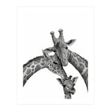 Giraffe Family (Print Only) thumbnail