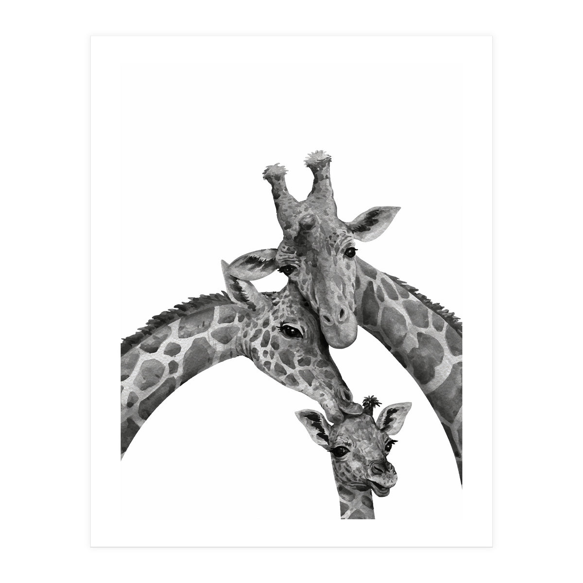 Giraffe Family (Print Only)