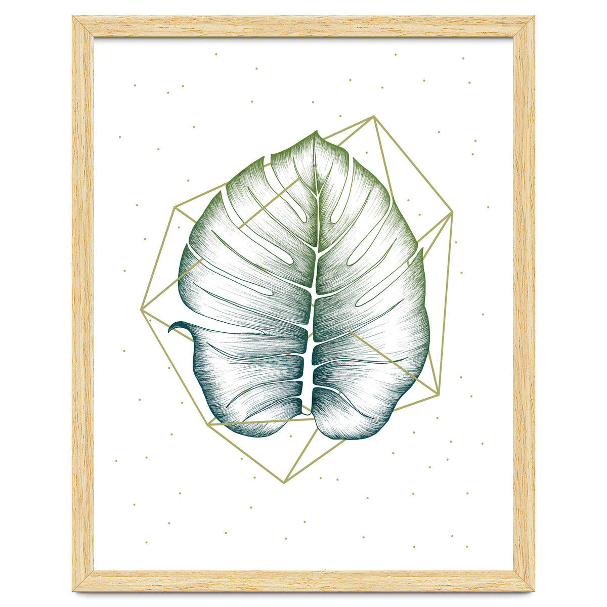 Geometry And Nature II