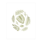Boho Botanicals (Print Only) thumbnail