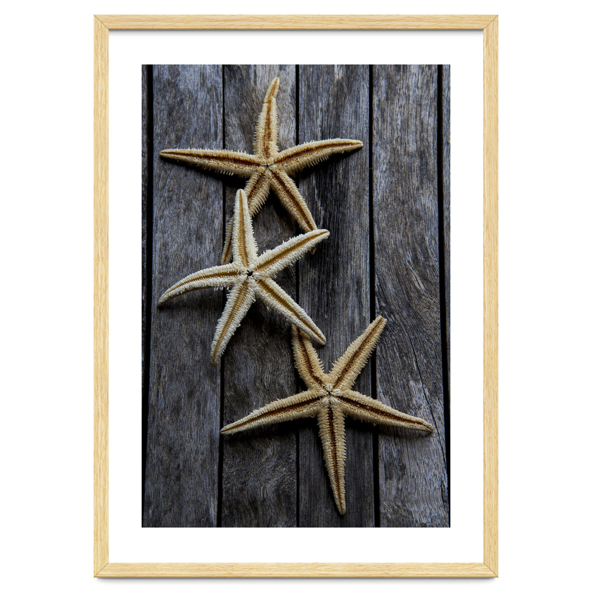 Starfishes in wooden